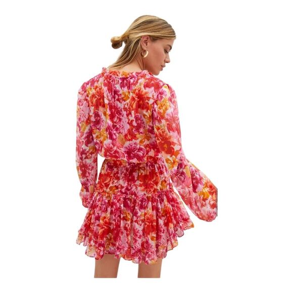 MISA Los Angeles Clementine Ruffled Floral Mini Dress - Picture 3 of 16